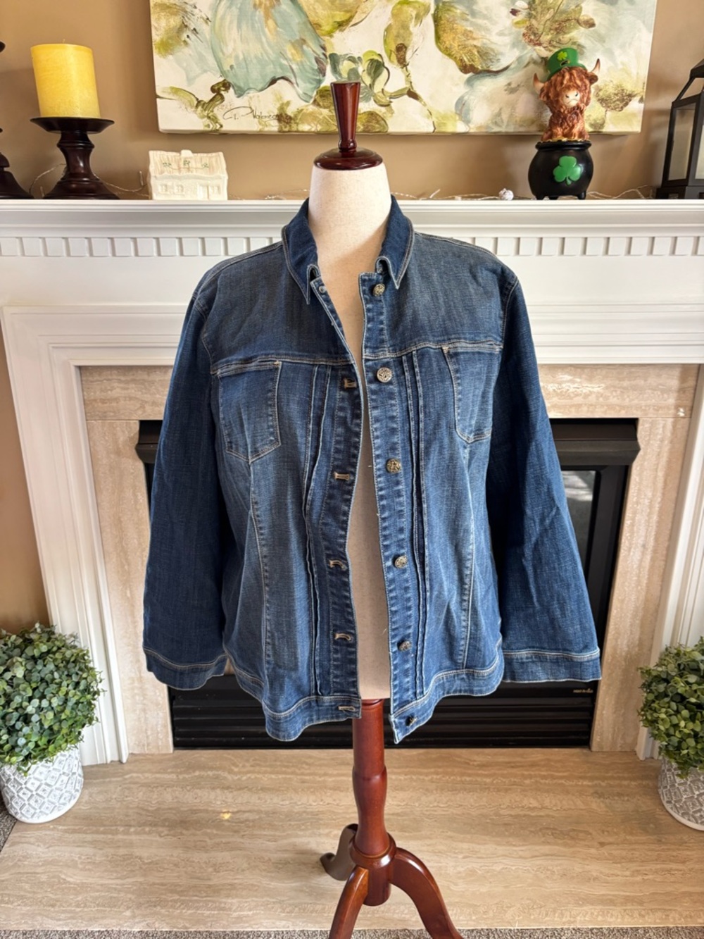 *NEW* CHICO’s Embroidered Velvet Denim Jacket Nouveau Indigo Plus Size 4 (XL 20) - Picture 4 of 11